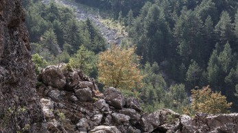 Χαλκιδική: τραγική κατάληξη στην αναζήτηση 75χρονου - Βρέθηκε νεκρός σε χαράδρα