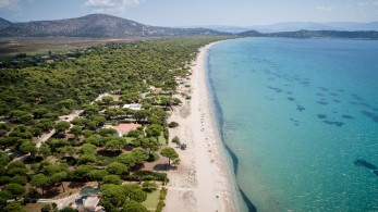 Παρέμβαση εισαγγελέα για πολυτελείς αυθαίρετες κατοικίες εντός του Εθνικού Πάρκου Σχινιά