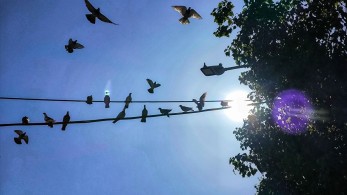 Καλλιθέα: την Παρασκευή η κηδεία της 7χρονης - Συγκλονίζει ο πατέρας της