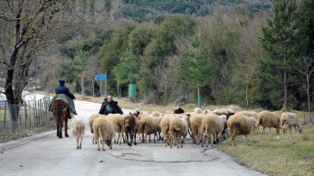 Οι «ηλίθιοι», ο ΟΠΕΚΕΠΕ και τα… Μεγάλα συμφέροντα Οι «ηλίθιοι», ο ΟΠΕΚΕΠΕ και τα… Μεγάλα συμφέροντα