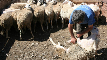 ΟΠΕΚΕΠΕ: ο βρυχηθμός των… νταβατζήδων, το ΟΣΔΕ, τα ΚΥΔ και η ευφυής γεωργία ΟΠΕΚΕΠΕ: ο βρυχηθμός των… νταβατζήδων, το ΟΣΔΕ, τα ΚΥΔ και η ευφυής γεωργία