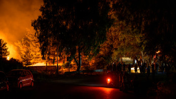 Εφιαλτική νύχτα για τη Χίο: Μάχη για να μην περάσει η φωτιά στα Μαστιχοχώρια (video)