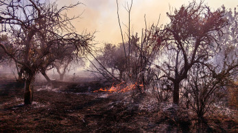 Καλύτερη εικόνα της πυρκαγιάς στον Άνω Πλατανίτη Ναυπάκτου - Εκκενώθηκαν οικισμοί (video)
