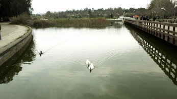 Υπουργείο Ανάπτυξης: Σε διαβούλευση τα νέα κριτήρια για Οικολογικά Επιχειρηματικά Πάρκα