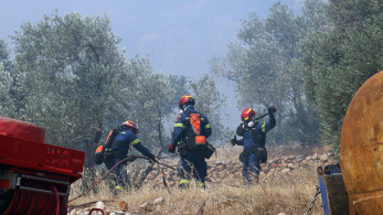 Σε κατάσταση έκτακτης ανάγκης η Χίος - Οι φλόγες κατευθύνονται στα Μαστιχοχώρια