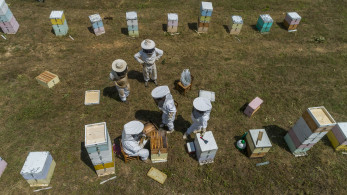 ΕΛΓΟ ΔΗΜΗΤΡΑ: εντατικοποίηση των ελέγχων στους πιστοποιητικούς φορείς