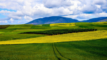 Reuters: Λαθρεμπόριο φυτοφαρμάκων στη Θεσσαλία – νυχτερινοί ψεκασμοί και κίνδυνος φωτιάς