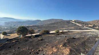 Φωτιά στην Παλαιά Φώκαια – Η Humanity Greece στο πεδίο δίπλα στους πολίτες