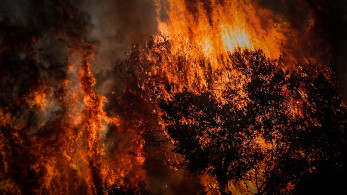 Φωτιά στην Εύβοια: Σοβαρή επιδείνωση στο μέτωπο της Καρύστου - Πυροσβέστες και εθελοντές σε επιφυλακή (video)