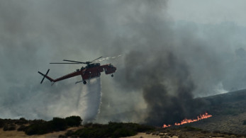 Θεσπρωτία: Νέα φωτιά στη Γλυκή - Φόβοι για εμπρησμό με πολλά μέτωπα