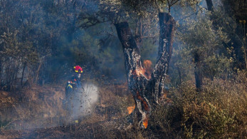 Υπό μερικό έλεγχο η φωτιά στον Αρχάγγελο Λακωνίας