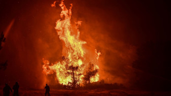 Φωτιά στον Ωρωπό: με δείκτη επικινδυνότητας 5, υπό έλεγχο σε 8 ώρες