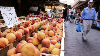 Η κακοκαιρία χτύπησε και τα ροδάκινα Βελβεντό Κοζάνης