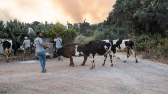 Κόλαση από τις δασικές πυρκαγιές στην Τουρκία – Εκκενώσεις, τραυματισμοί και τεράστια κινητοποίηση Κόλαση από τις δασικές πυρκαγιές στην Τουρκία – Εκκενώσεις, τραυματισμοί και τεράστια κινητοποίηση