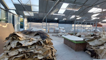 Το δίκτυο κοκαΐνης με «βιτρίνα» τα βοοειδή - Η χημική βάση στα Σπάτα και οι εμπλεκόμενοι