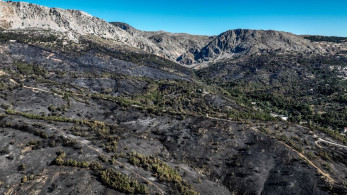 Φωτιές Χίος: φυλάκιση τριών ετών και πρόστιμο 10.000€ σε Γεωργιανή οικιακή βοηθό