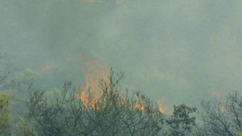 Φωτιά  στο Κορωπί - Εκτροπή κυκλοφορίας προς Βάρη