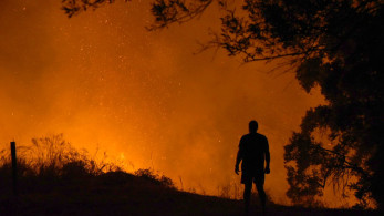 Ηλεία: μεγάλη φωτιά στα Λεχαινά (video)