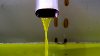 Reuters: Πώς οι δασμοί Τραμπ «αναγκάζουν» τους Έλληνες παραγωγούς ελαιολάδου να κατακτήσουν νέες αγορές παγκοσμίως