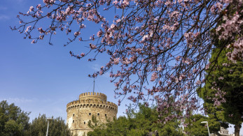 ΕΟΤ: εκπαιδευτικά ταξίδια με φόντο τη Θεσσαλονίκη και τη Χαλκιδική ΕΟΤ: εκπαιδευτικά ταξίδια με φόντο τη Θεσσαλονίκη και τη Χαλκιδική