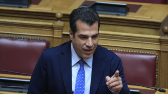 Πλεύρης: Η εγκληματικότητα των αλλοδαπών υπερβαίνει τα ποσοστά τους στον πληθυσμό (video)