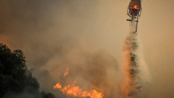 Συναγερμός στην πυροσβεστική: Σε πολλά μέτωπα η μάχη με τις φλόγες και μηνύματα 112 - Στη Θεσπρωτία ο μεγαλύτερος κίνδυνος (video)