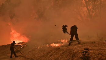 Συνεχίζεται η μάχη με τις φωτιές σε Κρυονέρι, Εύβοια, Χανιά, Μεσσηνία και Κύθηρα - Τα  πιο δύσκολα μέτωπα