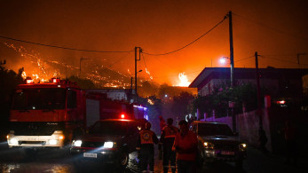 Φωτιά στην Αρχαία Ολυμπία: Η πύρινη λαίλαπα αγγίζει την Ηράκλεια - Αγώνας ζωής για την αποτροπή καταστροφής (video)