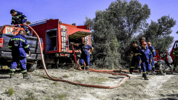 Φωτιά  στον Καρέα: τέθηκε άμεσα υπό έλεγχο