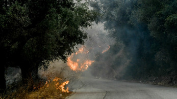 Θεσσαλονίκη: Αναζωπυρώθηκε η φωτιά στον δήμο Βόλβης