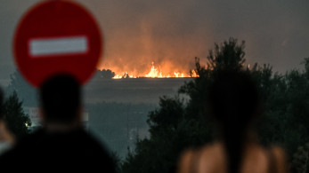 Ελληνικός Ερυθρός Σταυρός: ηρωική συμβολή των εθελοντών στις πυρκαγιές σε Βραχναίικα και Βουντένη (video)