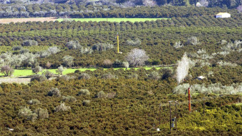 Πληρωμή 13,5 εκατ. ευρώ από τον ΕΛΓΑ για τις πυρκαγιές του 2021