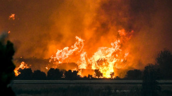 Σενάρια για εμπρησμούς και ευθύνες του ΔΕΔΔΗΕ σε Αχαΐα, Χίο και Δυτική Ελλάδα - Τα στοιχεία που εξετάζονται