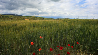 Αποκλειστικό ΟΠΕΚΕΠΕ: 708 πρόστιμα από το 1998 μέχρι σήμερα