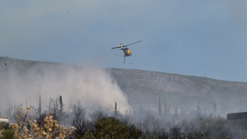 Από μελίσσια η φωτιά στην Πολυτεχνειούπολη - Πρόστιμα σε μελισσοκόμους και τον πρύτανη του ΕΚΠΑ Από μελίσσια η φωτιά στην Πολυτεχνειούπολη - Πρόστιμα σε μελισσοκόμους και τον πρύτανη του ΕΚΠΑ