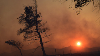 Μυτιλήνη: άνδρας ομολόγησε ότι προκάλεσε εσκεμμένα τέσσερις φωτιές