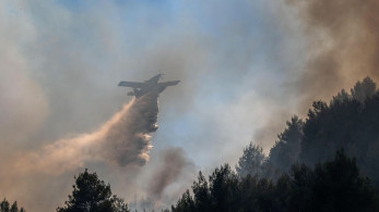 Αναζωπύρωση φωτιάς στο Χελιδόνι Ηλείας