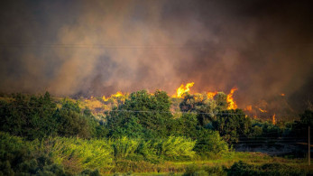 Λαύριο: Φωτιά σε δάσος με αναζωπυρώσεις - Κλειστή η λεωφόρος - Εστάλη μήνυμα 112