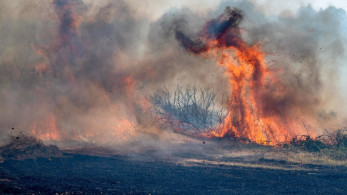 Φωτιά τώρα στην Αιτωλοακαρνανία - Επίγειες και εναέριες δυνάμεις στην κατάσβεση
