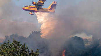 Κρήτη: Οροθετείται η φωτιά στο Βαθύ Λασιθίου - Εκτιμήσεις για άμεση κατάσβεση