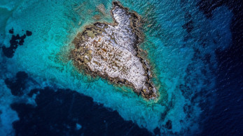 WWF Ελλάς: «Θετικό βήμα τα θαλάσσια πάρκα - Απαραίτητη η συνέχεια και η δράση» WWF Ελλάς: «Θετικό βήμα τα θαλάσσια πάρκα - Απαραίτητη η συνέχεια και η δράση»