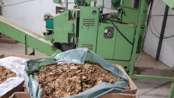 Περιττώματα ζώων και μούχλα στα παράνομα καπνικά - Σοκαριστικές αποκαλύψεις Πιτσιλή Περιττώματα ζώων και μούχλα στα παράνομα καπνικά - Σοκαριστικές αποκαλύψεις Πιτσιλή