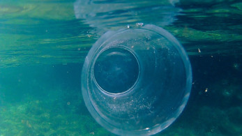 Παγκόσμιος εθελοντικός καθαρισμός ακτών για 35η χρονιά με συμμετοχή της Ελλάδας