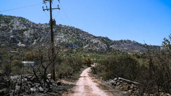 Χίος: πάνω από 150 καμένοι στύλοι ηλεκτροδότησης - Πότε θα αποκατασταθούν οι ζημιές