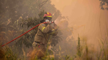 Δασικές πυρκαγιές και κλιματική αλλαγή: Οδηγός για την ασφάλεια και την πρόληψη