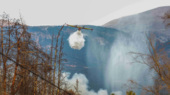 Συναγερμός για φωτιά στο Μελιγαλά Μεσσηνίας