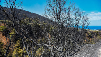 Πυρομανείς της  «Επανάστασης»