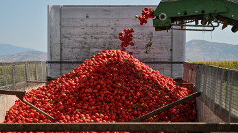 ΟΣΔΕ: Μέχρι 29 Αυγούστου οι δηλώσεις για την Ενιαία Αίτηση Ενίσχυσης 2025