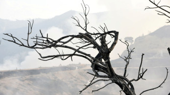 Οι «εμπρηστές» της αντιπολίτευσης