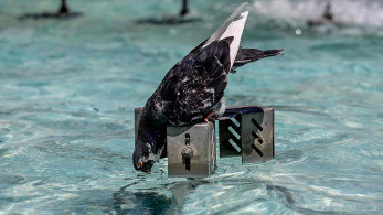 Καιρός: Ζεστός Σεπτέμβριος με 35άρια - Πότε έρχονται καταιγίδες και πτώση θερμοκρασίας